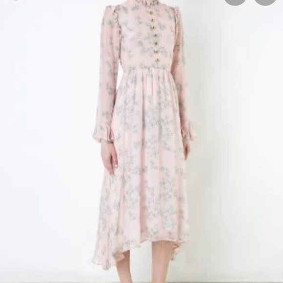 Macgraw pink sheer floral pink maxi dress - Picture 3 of 14